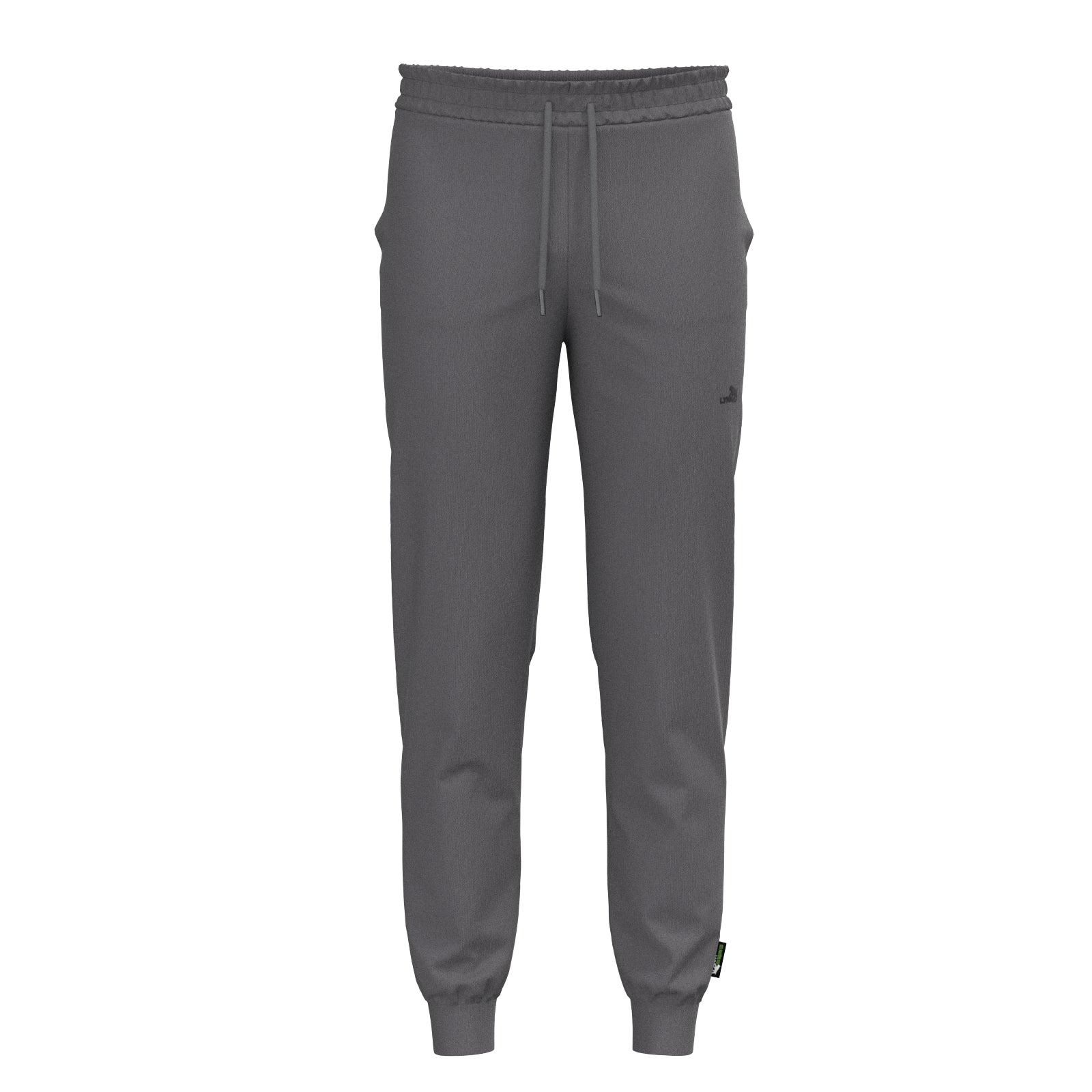 Sport Basic Jogger1 Veit in grau