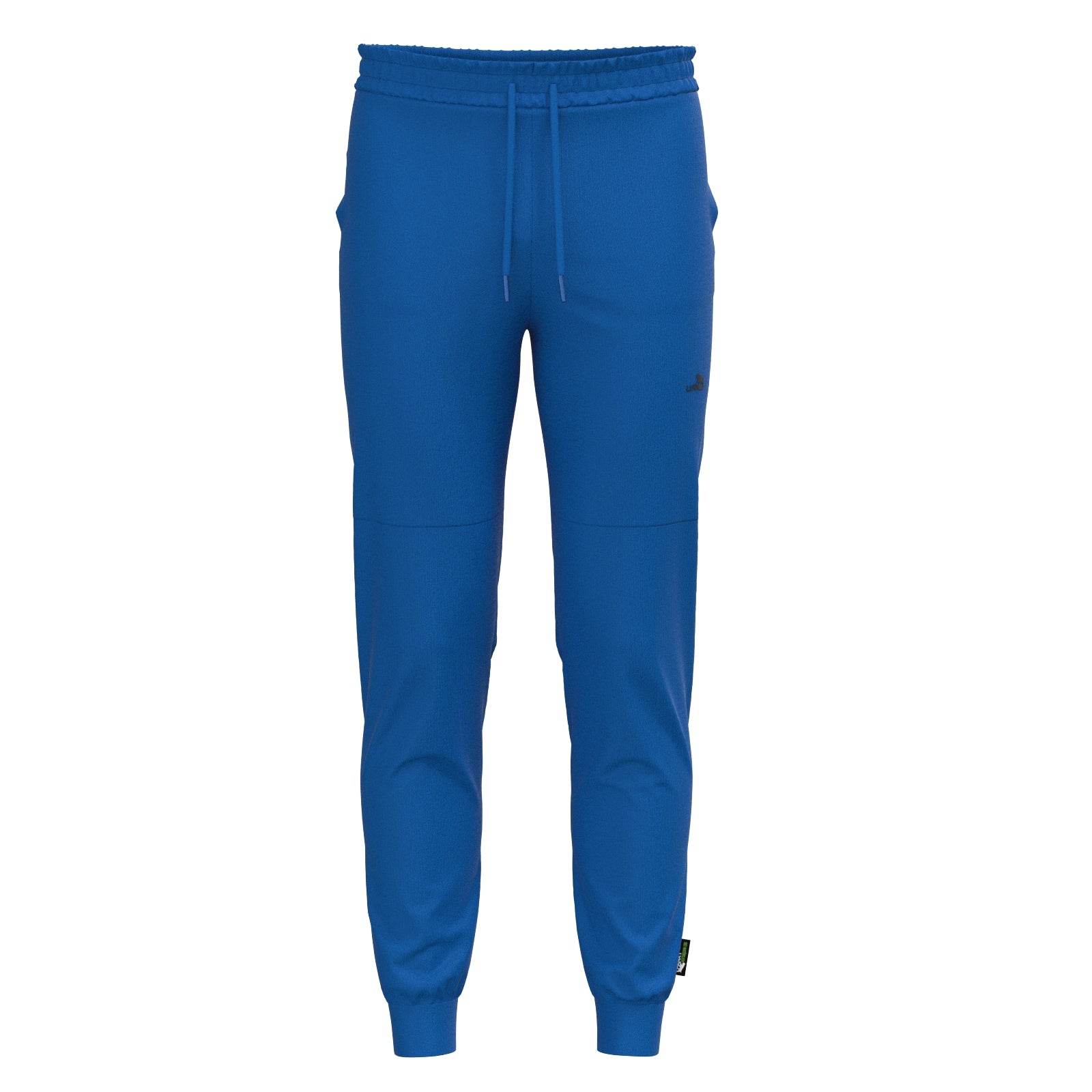 Sport Basic Jogger2 Voit in blau