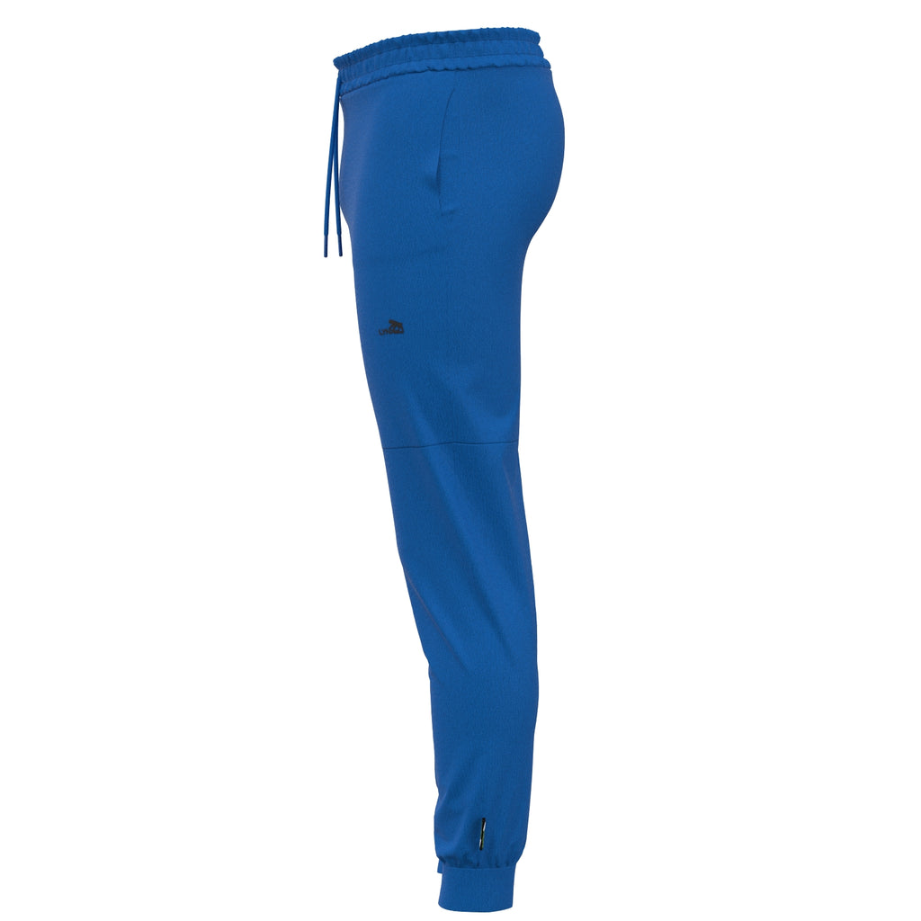 Sport Basic Jogger2 Voit in blau