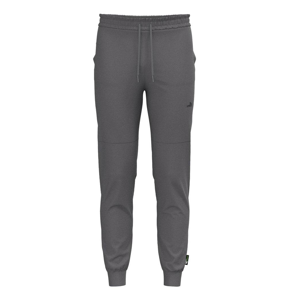 Sport Basic Jogger2 Voit in grau