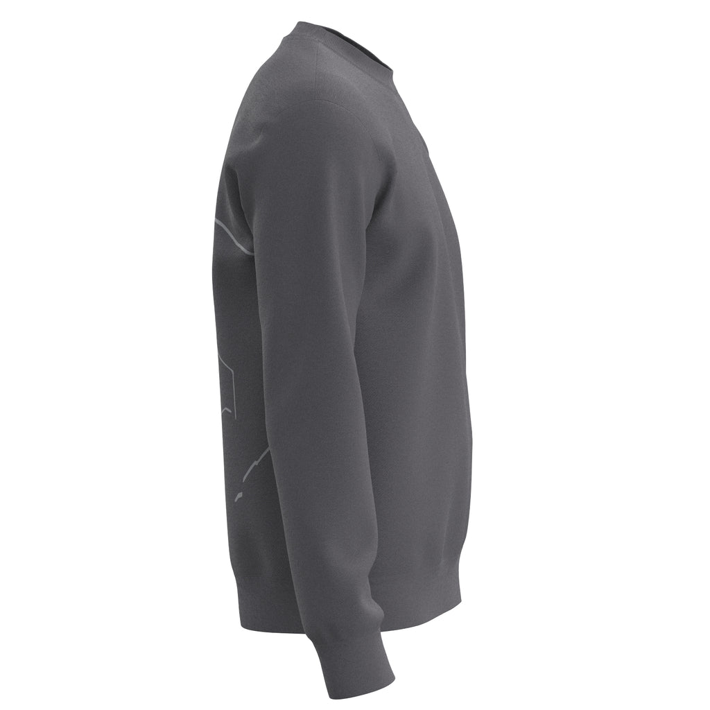 Sport Basic Sweater Fips in grau