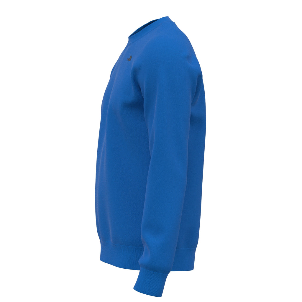 Sport Basic Sweater Fips in blau